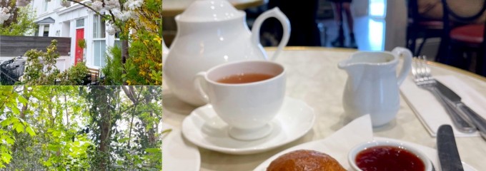 Orange Pekoe