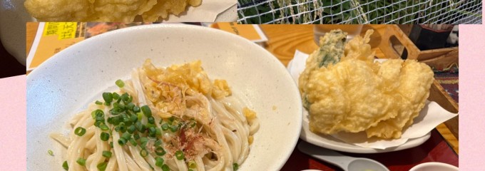 うどん日和ひこどん