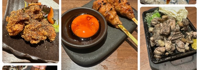 真骨鳥