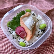 akiakoさんの写真