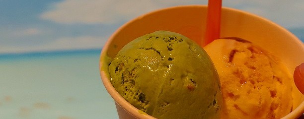 ブルーシール 岐阜ナガラガワフレーバー店