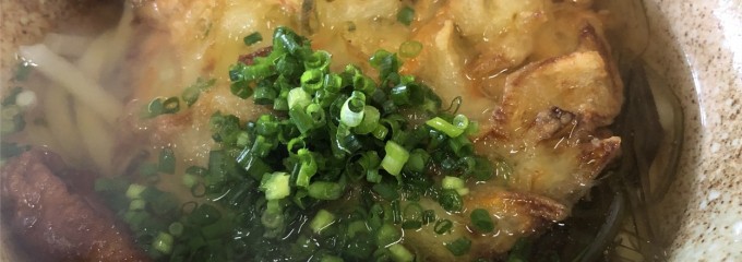 ドライブイン 屋久杉 縄文