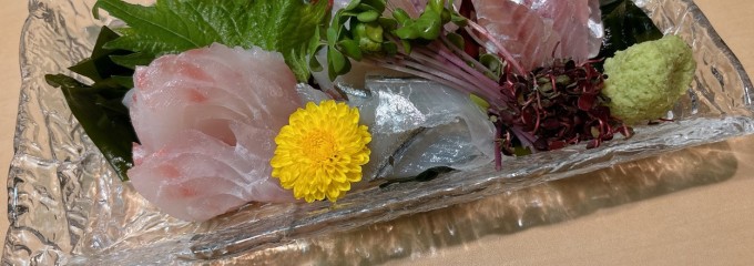 若狭湾天然活魚料理 大将