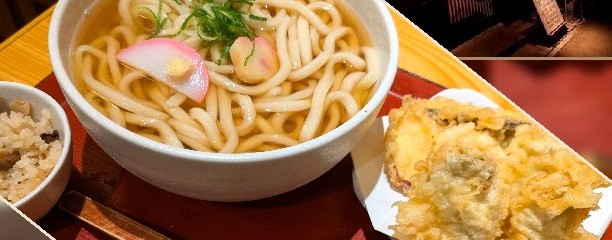 うどん日和ひこどん