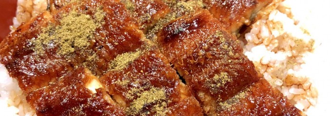 鰻ひつまぶしと豆冨 炭櫓