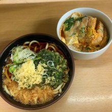 mocotaroさんの写真