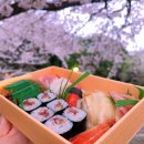 札幌ジンギスカン綿羊 つくば 土浦 石岡 取手 つくば 焼肉 ホルモン 札幌ジンギスカン綿羊 つくば 土浦 石岡 取手 つくば 焼肉 ホルモン
