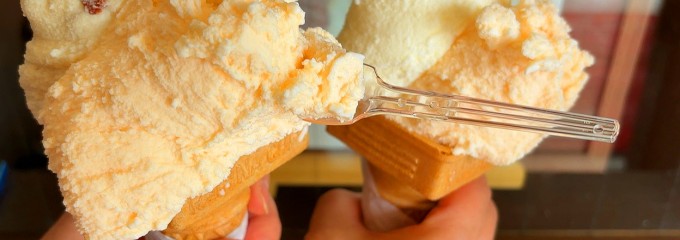 カナサシファーム・アイス工房