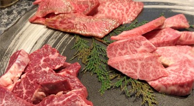 焼肉 たいが 中野 高円寺 三鷹 荻窪 焼肉 ホルモン