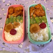morinohakoさんの写真