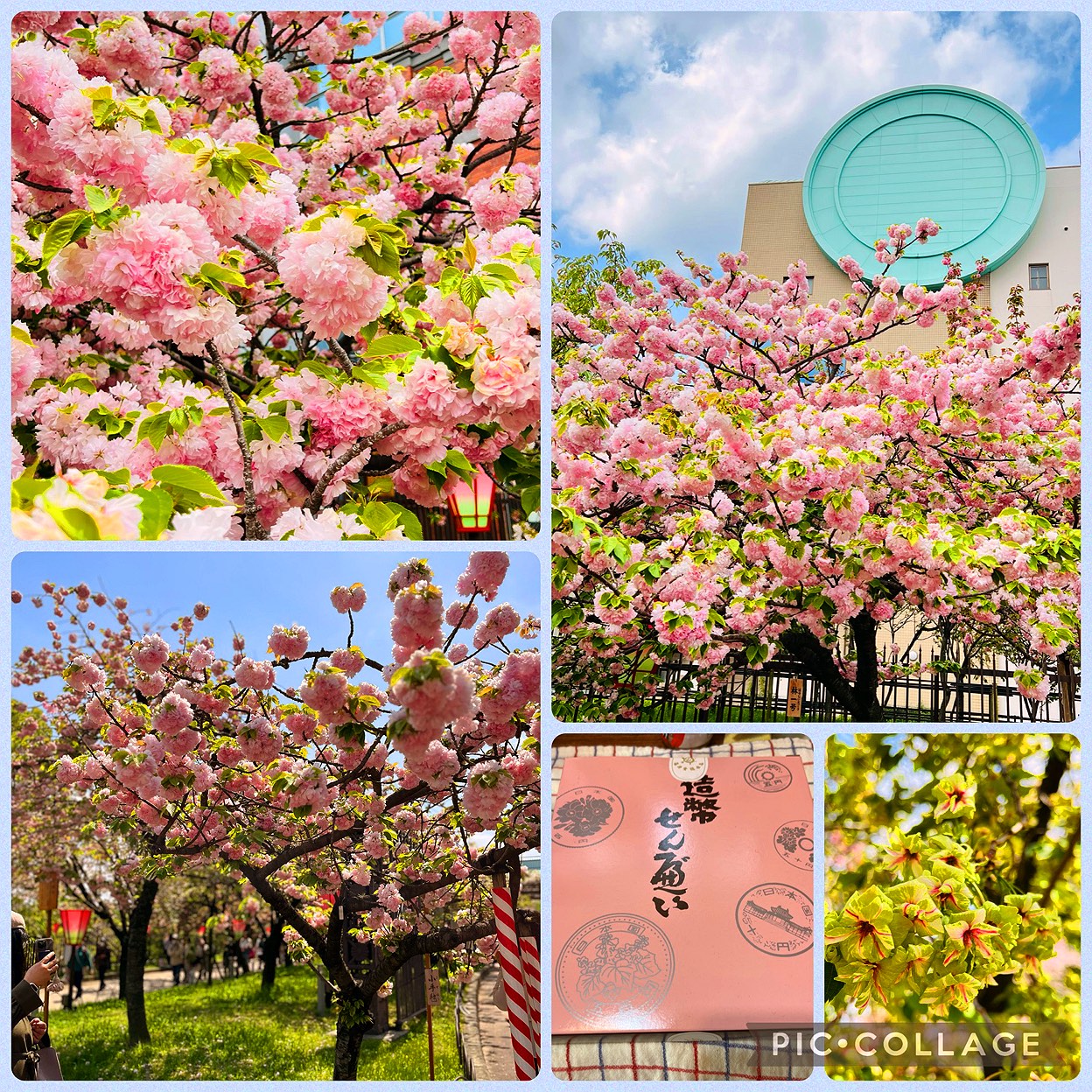 8a441a12-d98c-11ed-b8e7-