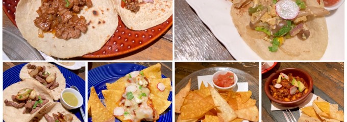 ViVA LA ViDA ビバ ラ ビダ