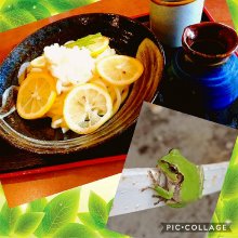 大佐倉駅のグルメ レストラン ミイル