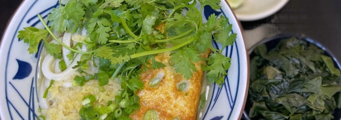 Marukame Udon