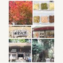 一本屋 豊川本店 諏訪町駅 焼肉 ホルモン 一本屋 豊川本店 諏訪町駅 焼肉 ホルモン