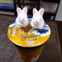 sue_さんの写真