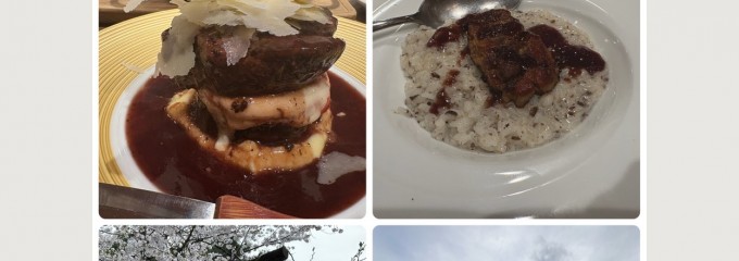 俺のフレンチ GINZA