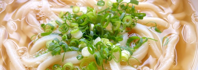 もり豊