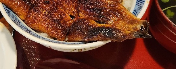 魚寅