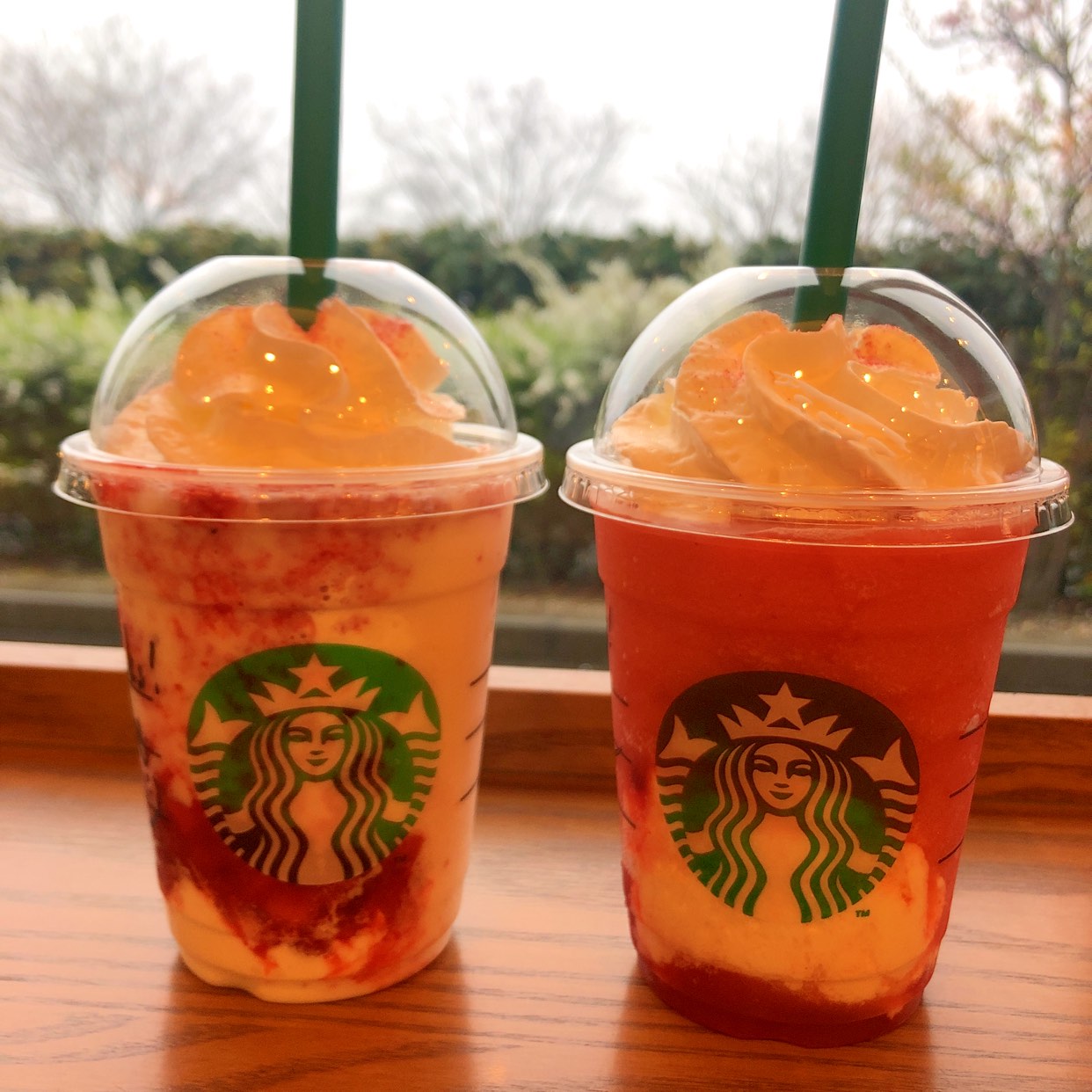 スターバックス コーヒー カインズ モール 彦根 店