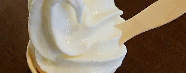 ミュージアムカフェ ぽらす