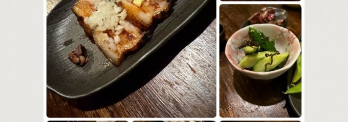 居酒屋 れいちゃん