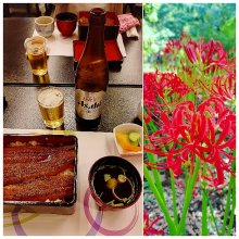 toshimi1783さんの写真