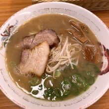 やまとの写真