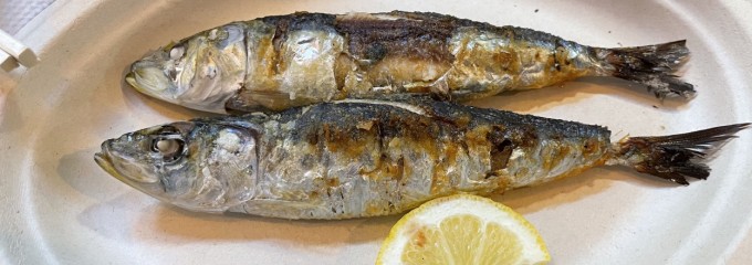 なまけ -ホルモン焼と羊と鰯- 蒲田本店