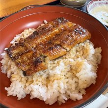 Nyanchiteさんの写真
