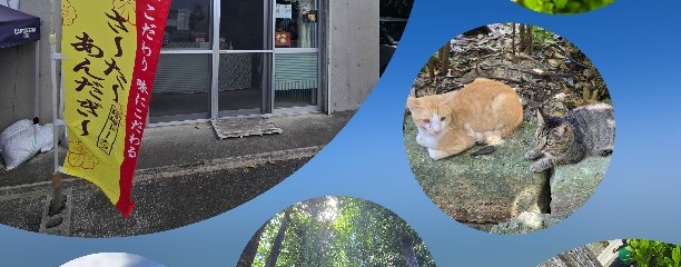 トモ