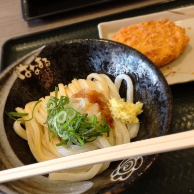 はなまるうどん ダイバーシティ東京店 うどん