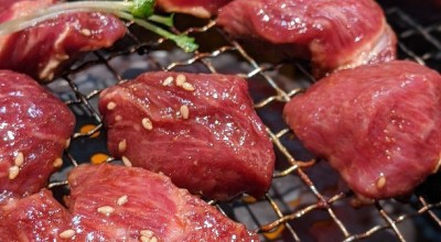 焼肉大協 松山市 本町３丁目 焼肉 ホルモン