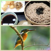 jun0816さんの写真