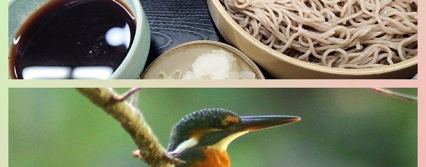山田うどん 八王子長沼店
