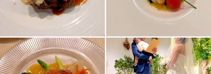 ドリーム ウォール小山