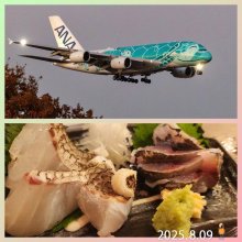 jun0816さんの写真