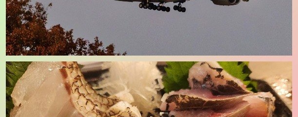 ひだりうまでん助 北口店