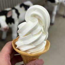 nobu_pizzaさんの写真