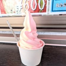 yuka824さんの写真
