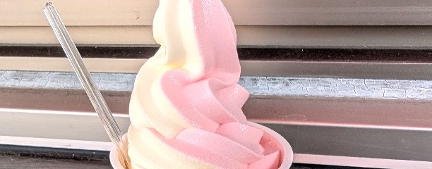 道の駅 思川