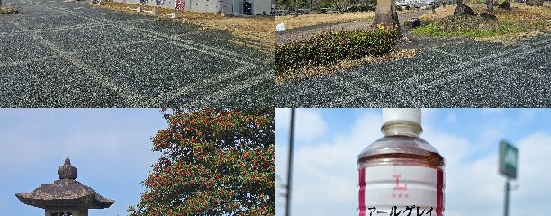 宍道湖 SA (上り)