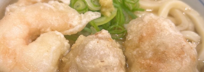 自家製生うどん 饂飩頑陣