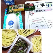 AKITSUさんの写真