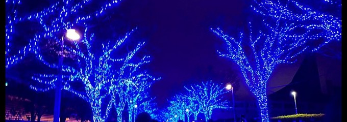 ジンナンカフェ 渋谷