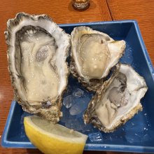 Utupulさんの写真