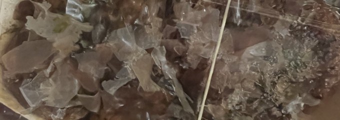 蛸と小麦と何かしら