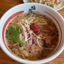 ysdtgmさんの写真
