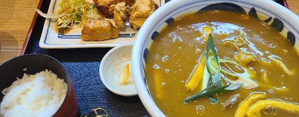 とり天ぶっかけと鴨釜うどん 麺匠 やしま