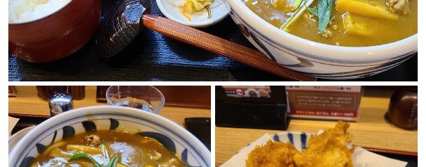 とり天ぶっかけと鴨釜うどん 麺匠 やしま